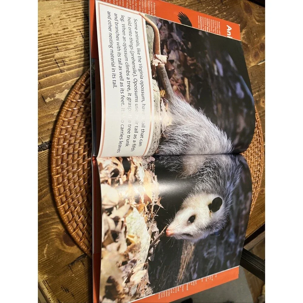 Animal Tails Non Fiction book By Mary Holland With Book Jacket